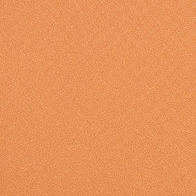 Kravet INVINCIBLE SPICE