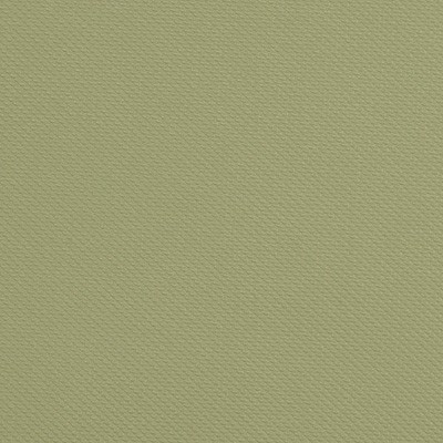 Kravet IRON MAN FERN