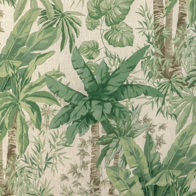 Kravet JUNGLEWOOD VERDE