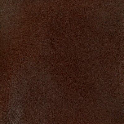 Kravet L-ADOBE BROWN