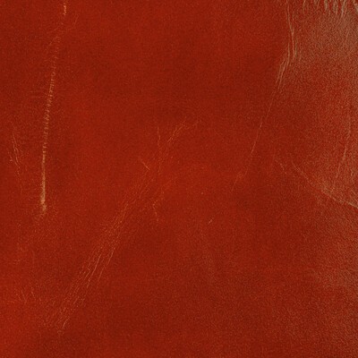 Kravet L-ADOBE SPICE