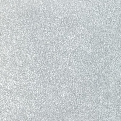 Kravet L-BILLET TINSEL
