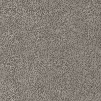 Kravet L-BISON ARMOR