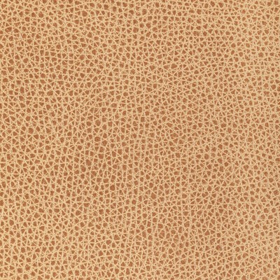Kravet L-BISON BISCOTTI