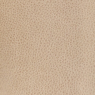 Kravet L-BISON OAT