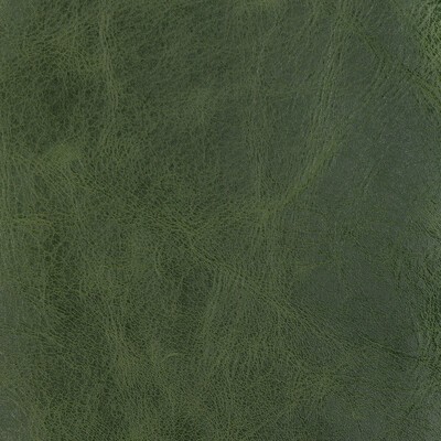 Kravet L-BRANTLEY EVERGREEN