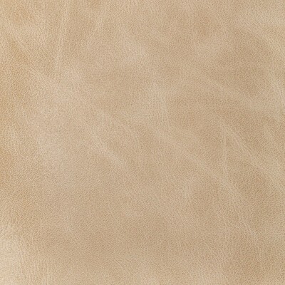 Kravet L-BRANTLEY SAND