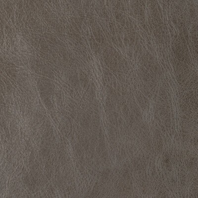 Kravet L-BRANTLEY SMOKE
