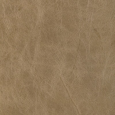 Kravet L-BRANTLEY TAN