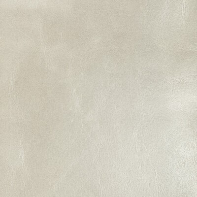 Kravet L-CHANTEY FOSSIL