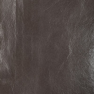 Kravet L-CHANTEY SEAL