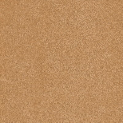 Kravet L-CIMARRON CHESTNUT