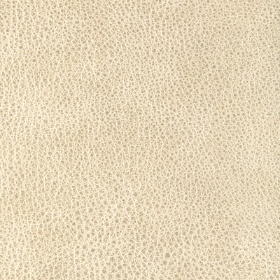 Kravet L-CIMARRON CLOUD