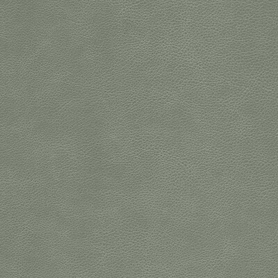 Kravet L-CIMARRON ELEPHANT