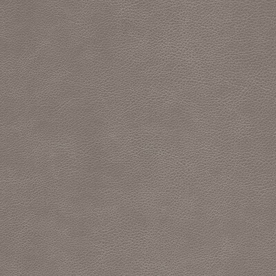 Kravet L-CIMARRON FAWN