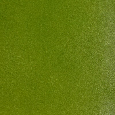 Kravet L-COFFER LIME