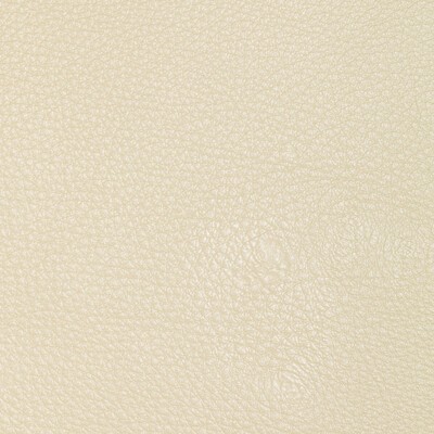 Kravet L-CONCHAS CLOUD