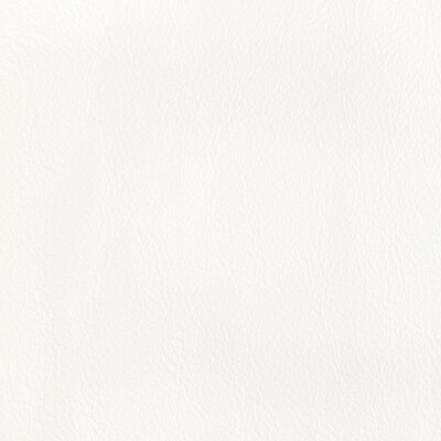 Kravet L-CORRALS SALT