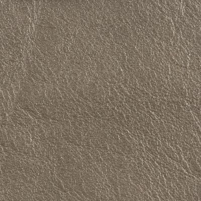 Kravet L-COUNTRY PLATINUM