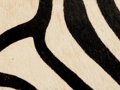 Kravet PAINTED ZEBRA NATURAL