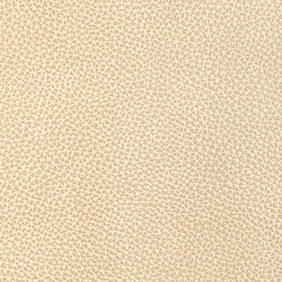 Kravet L-DIXIE CHAMPAGNE