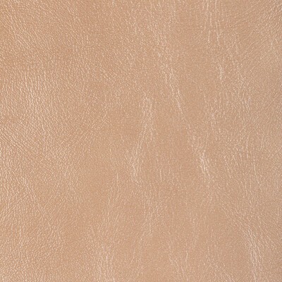 Kravet L-GLISTEN NUDE