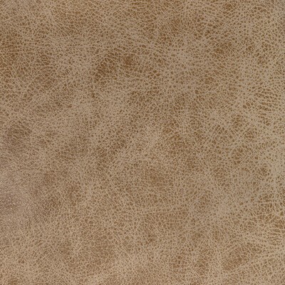Kravet L-GRANGE CAMEL