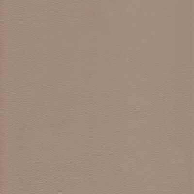 Kravet L-HOWDY BEACH