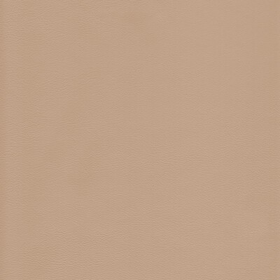 Kravet L-HOWDY BIRCH