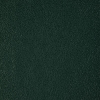 Kravet L-HOWDY EMERALD