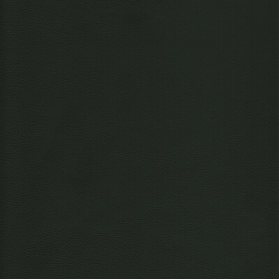 Kravet L-HOWDY EVERGREEN