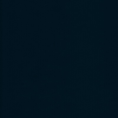 Kravet L-HOWDY INDIGO