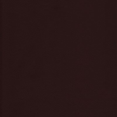 Kravet L-HOWDY MOCHA