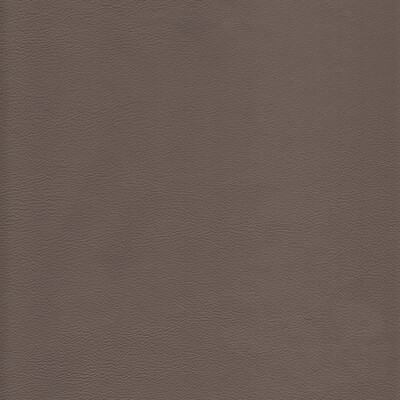 Kravet L-HOWDY TAUPE