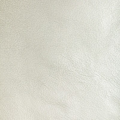 Kravet L-LUSTER SILVER