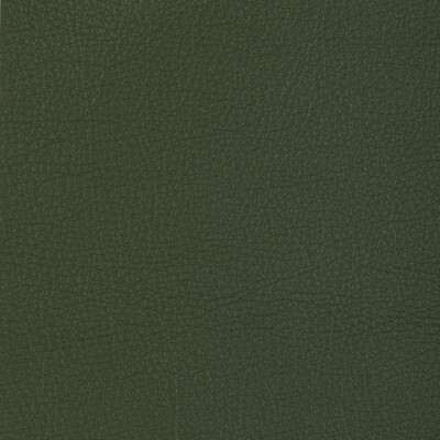 Kravet L-MANZANO SAGE