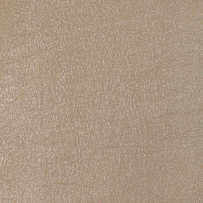 Kravet L-MIMBRES GLOW