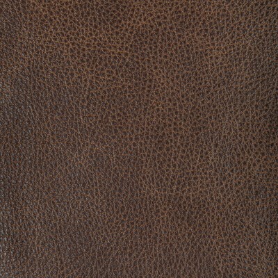 Kravet L-NAMBE COCOA