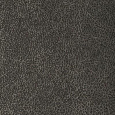 Kravet L-NAMBE SLATE