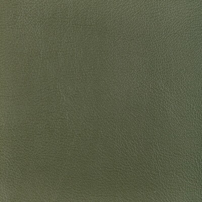 Kravet L-OCOTILLO HUNTER