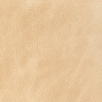 Kravet L-OPE LATTE