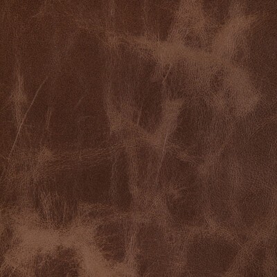 Kravet L-OVINE CINNAMON