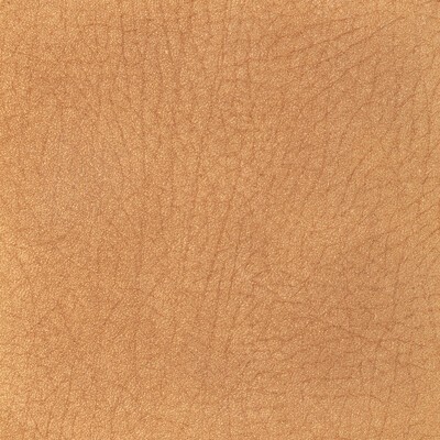 Kravet L-PAMPAS DEER