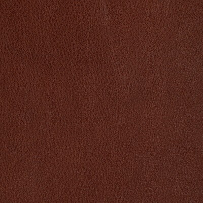 Kravet L-REIN MAPLE