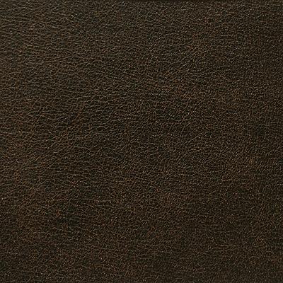 Kravet L-RODEO CIGAR