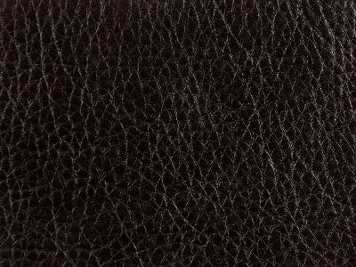 Kravet L-RUSHMORE ESPRESSO