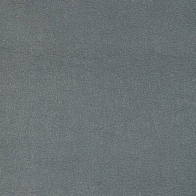 Kravet L-SIERRA METAL