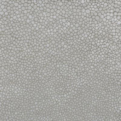 Kravet L-SINAR SILVER