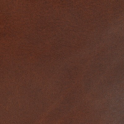 Kravet L-STORRIE COCOA