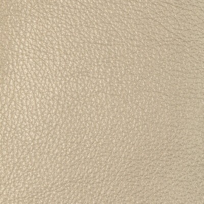 Kravet L-SUGARITE TAUPE